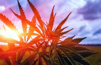 Constellation Brands to acquire minority stake in cannabis company Canopy Growth Corp