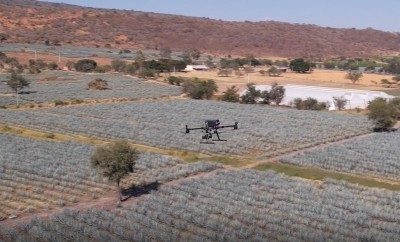 Diageo turns to drones to increase water efficiency on Mexico agave farms