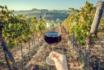 The growth of organic wine: ‘We have gone from curiosity-based consumption to structural consumption’